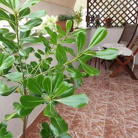 Belle Διαμέρισμα Τίρανα